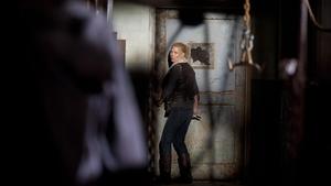The Walking Dead Temporada 3 Episódio 14