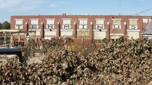 The Walking Dead Temporada 4 Episódio 16