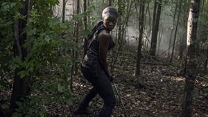 The Walking Dead Temporada 10 Episódio 13