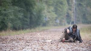 The Walking Dead Temporada 4 Episódio 13