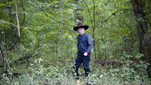 The Walking Dead Temporada 2 Episódio 11